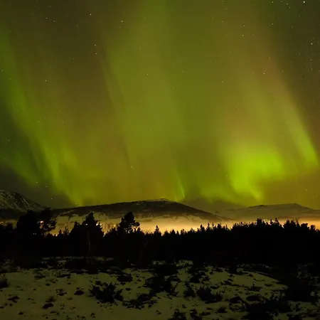 Nordmjoen Oppdal